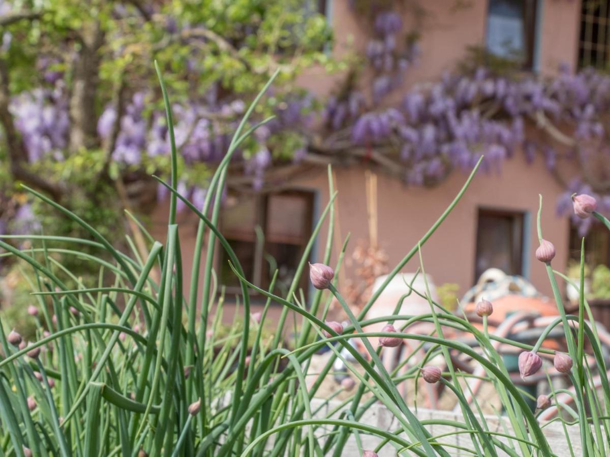 Beim Danner Villa Riedering Exterior photo